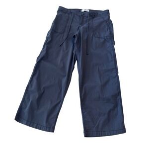 Hollister Mens Low Rise‎ Super Baggy Cargo Pants Size 36x31 Gray Cotton Blend